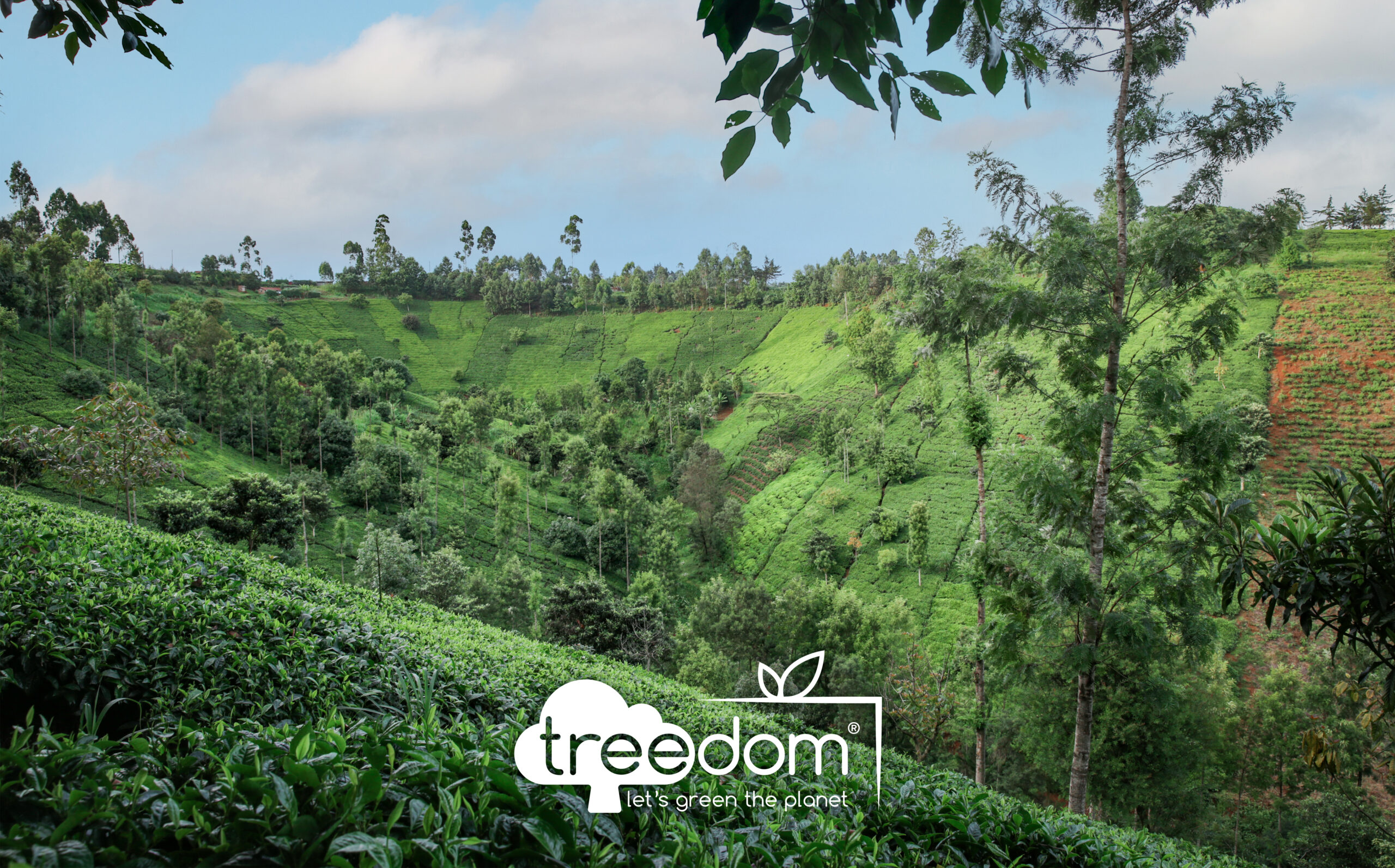 Treedom